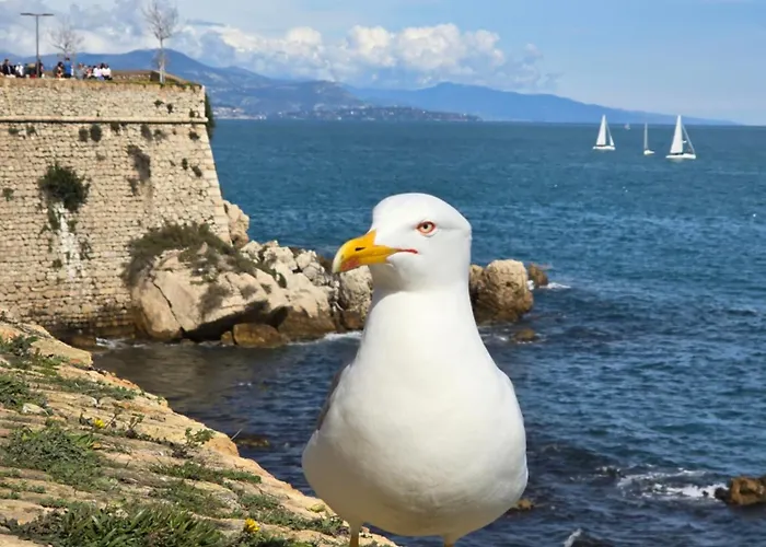 Studio Devant La Mer